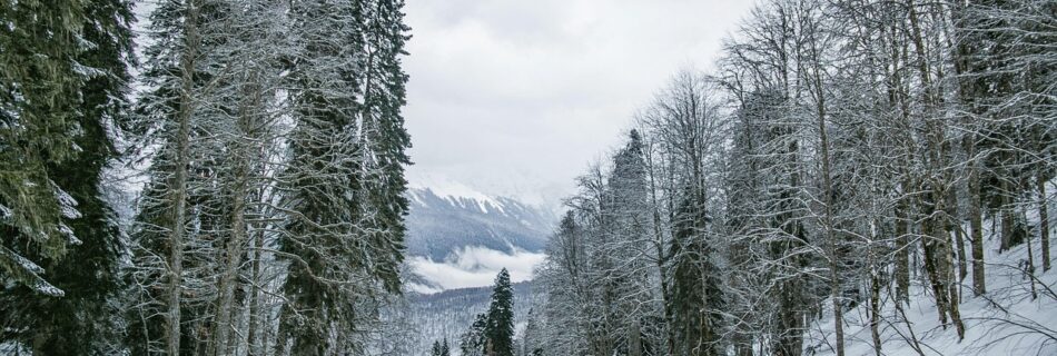 Skieur dévalant une piste enneigée dans les montagnes du Queyras.