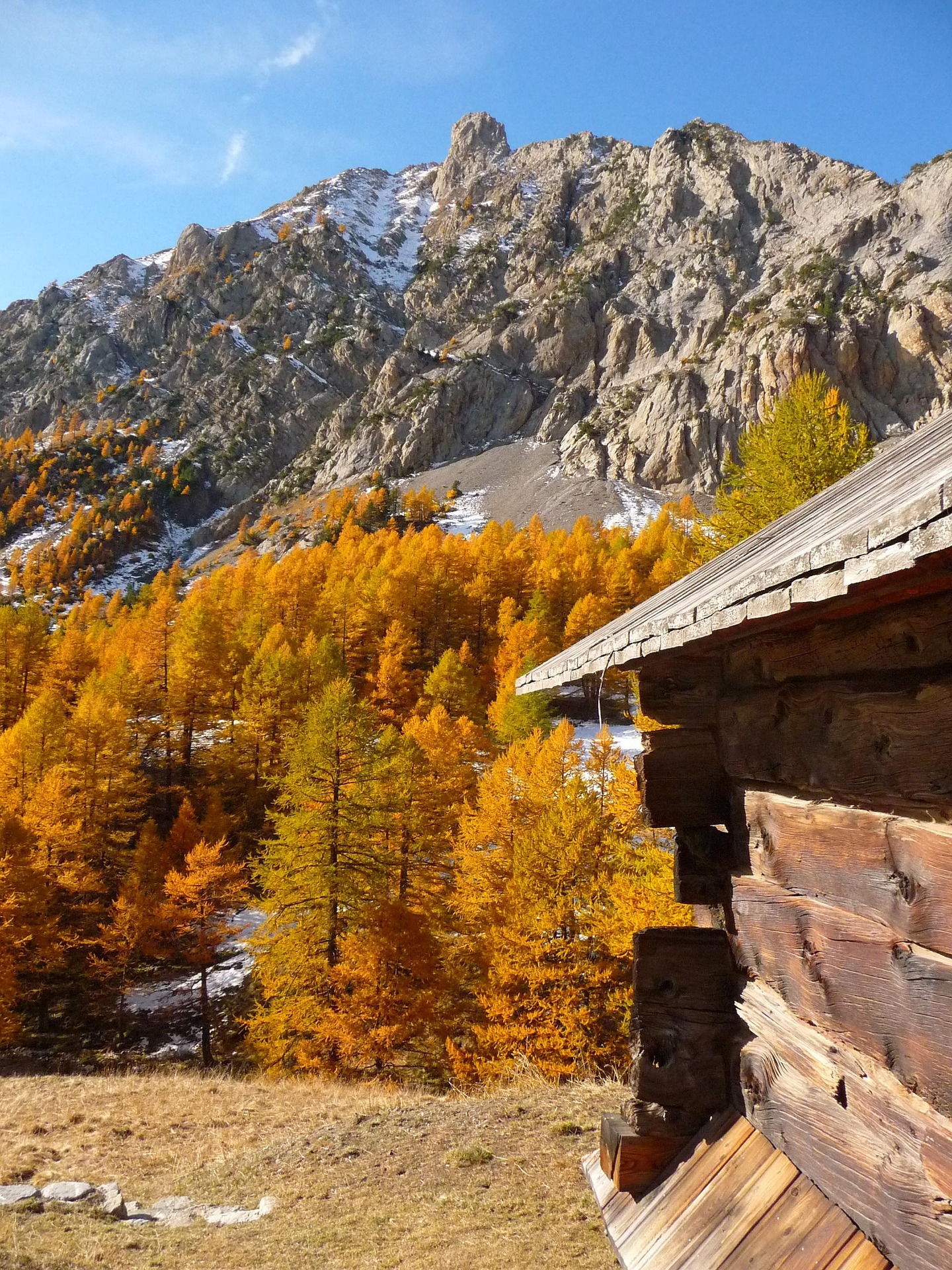 Chalet traditionnel en bois entouré de mélèzes aux couleurs d’automne dans le Queyras