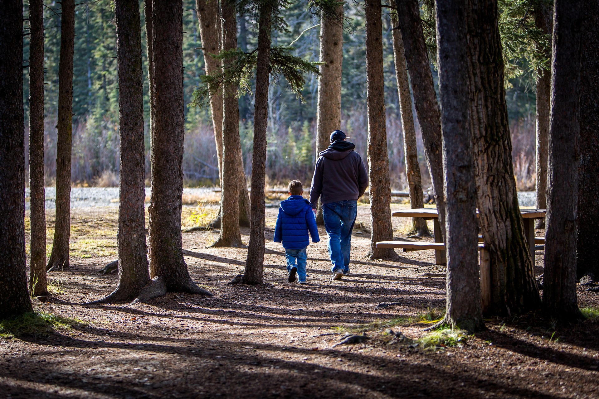 Père et enfant en balade en forêt dans le Queyras