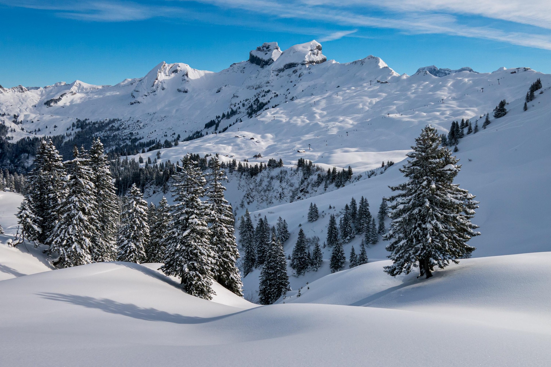 paysage enneigé avec sapins et montagnes dans les Hautes-Alpes en hiver